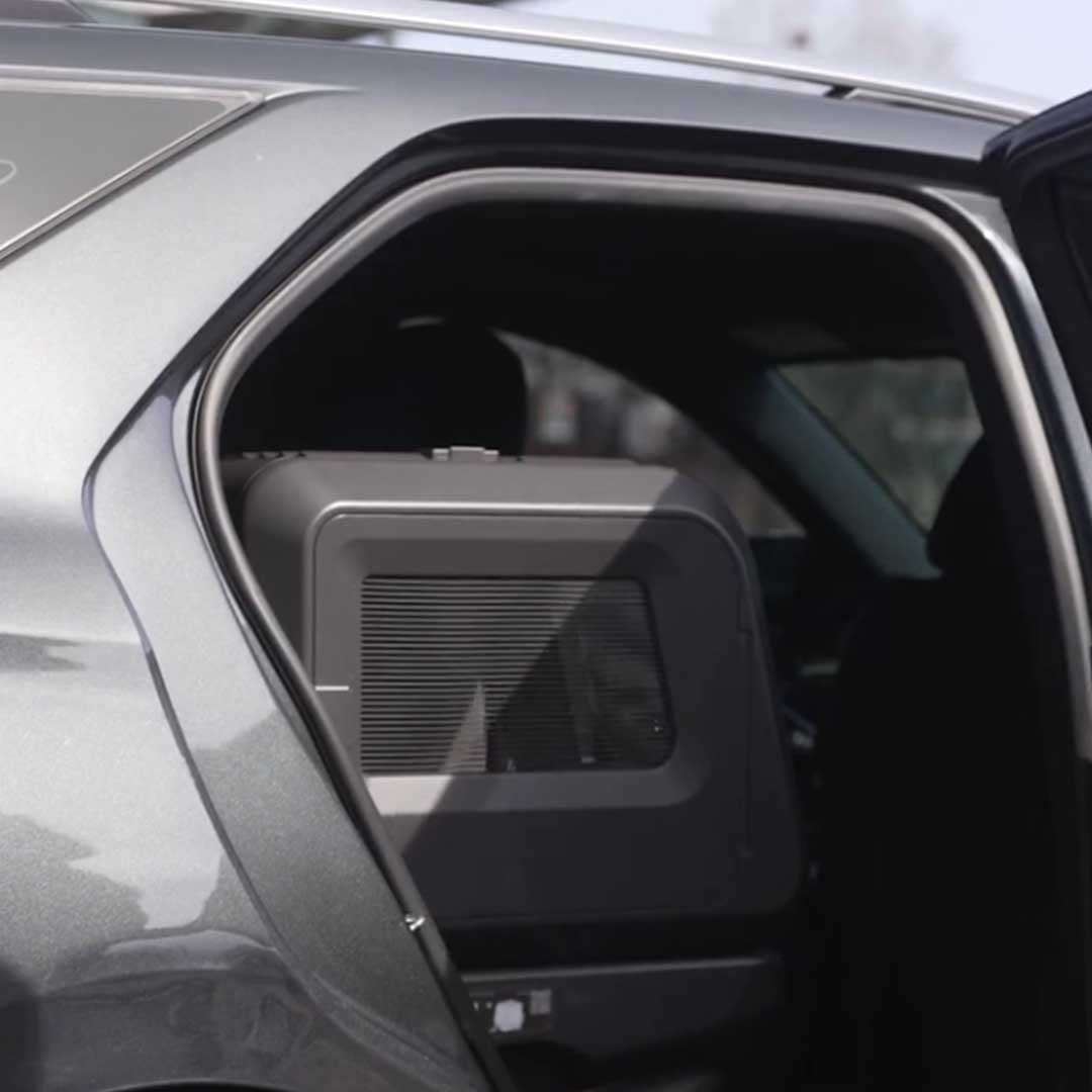 Car Safety For Your Pet