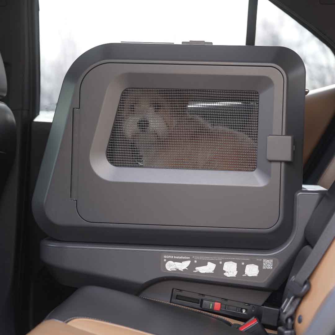Car Safety For Your Pet