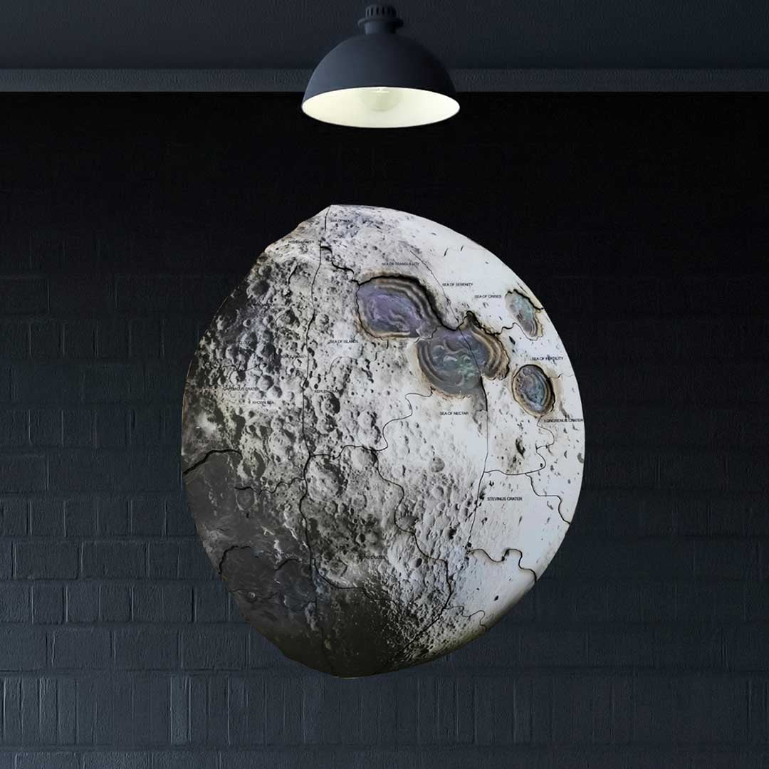 A Journey Through Earth's 500-Million-Year Past