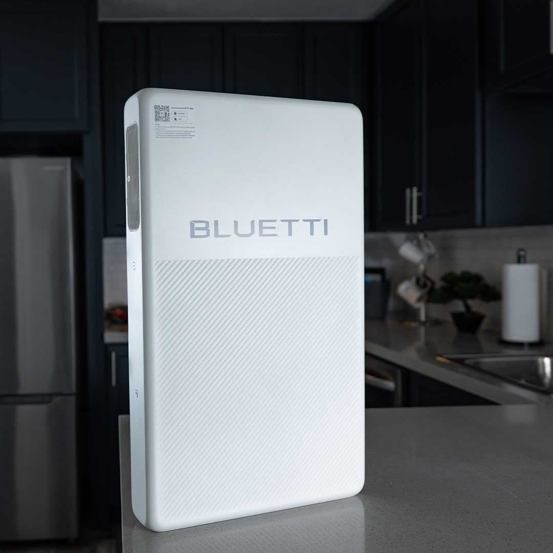 Automatic Refridgerator Backup ❄