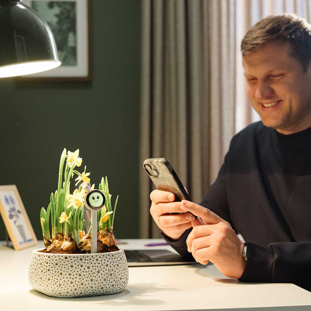 Know Exactly How Your Plant Feels