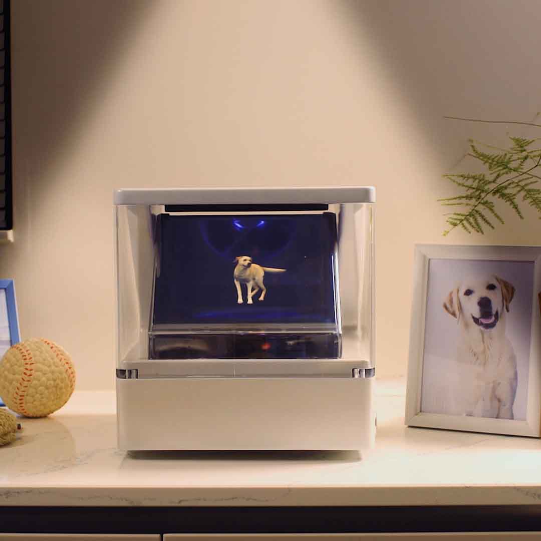 Experience Lifelike Pet Holograms at Home