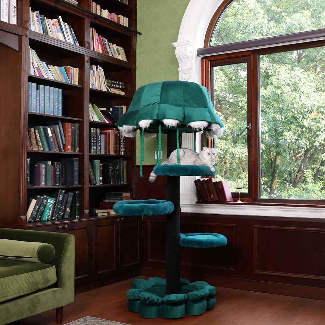 Interior-Worthy Cat Tree With Ambient Lighting