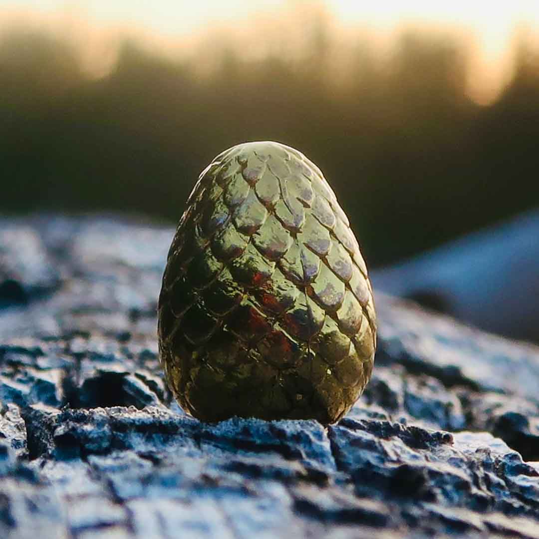 Pledge Today on Kickstarter