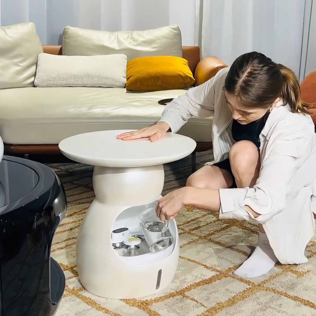 Furniture For Pets And People