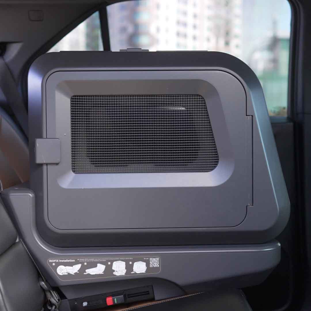 Car Safety For Your Pet