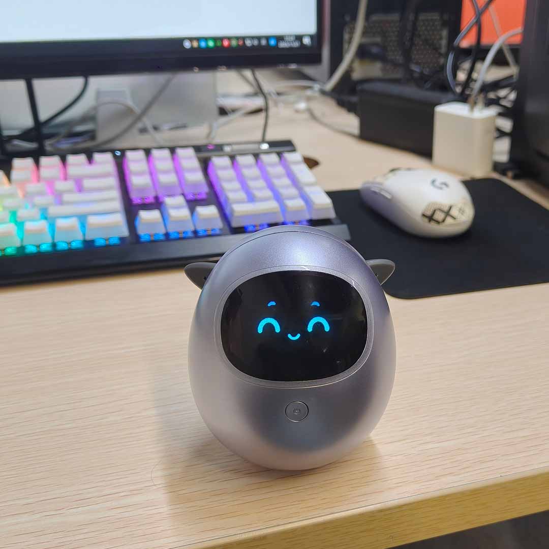 Gentle Companion For Quiet Moments