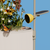 Smart Modular Habitat System For Nature's Pollinators