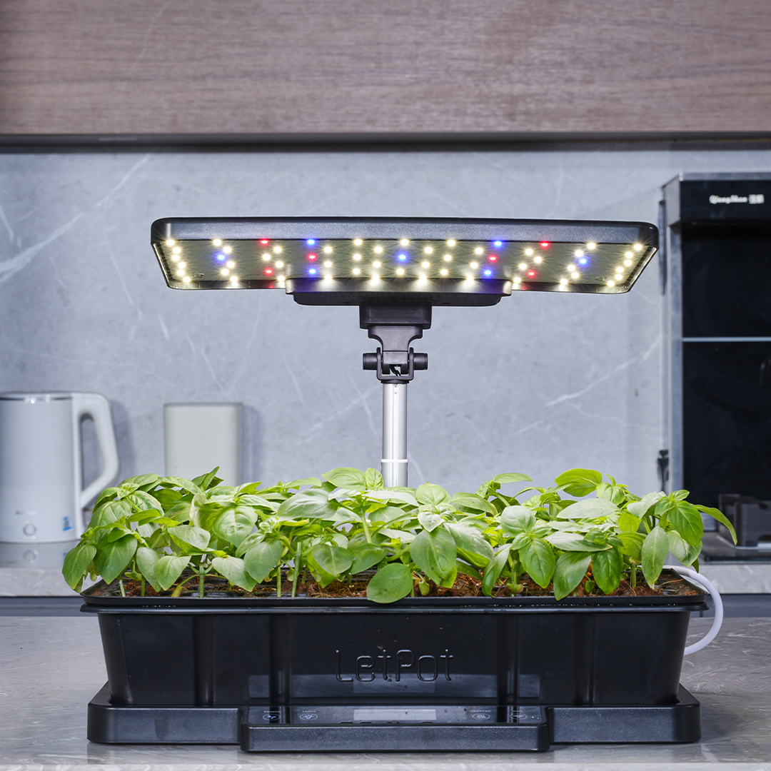 Start Strong, Grow Smarter