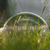 40oz Splash-Free Ceramic Pet Bowl