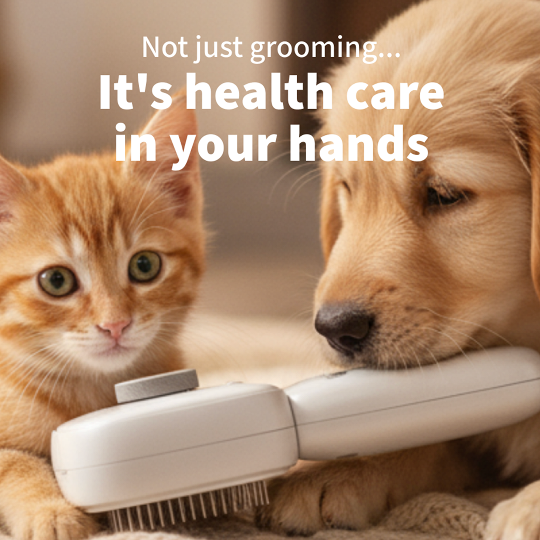 The Pet Brush That Kills 99.9% Bacteria