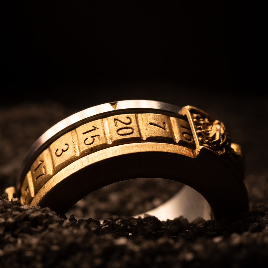 D20 Ring With Precision Bearings