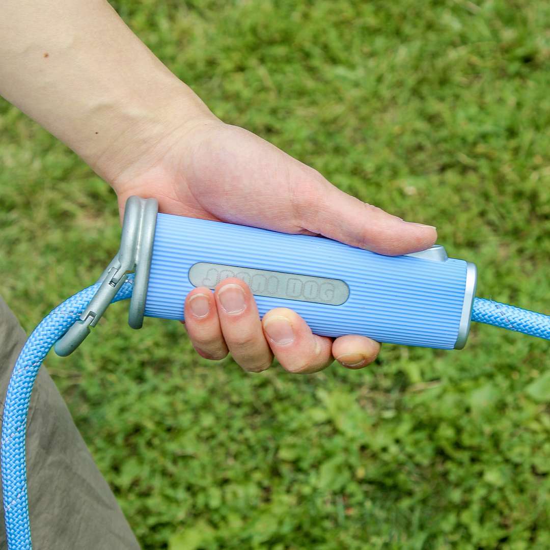 The Dog Leash Reinvented