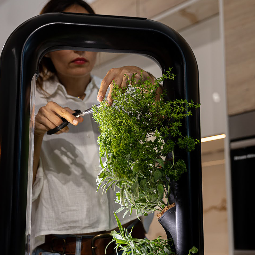 Indoor Vertical Herb Garden With Automated Care