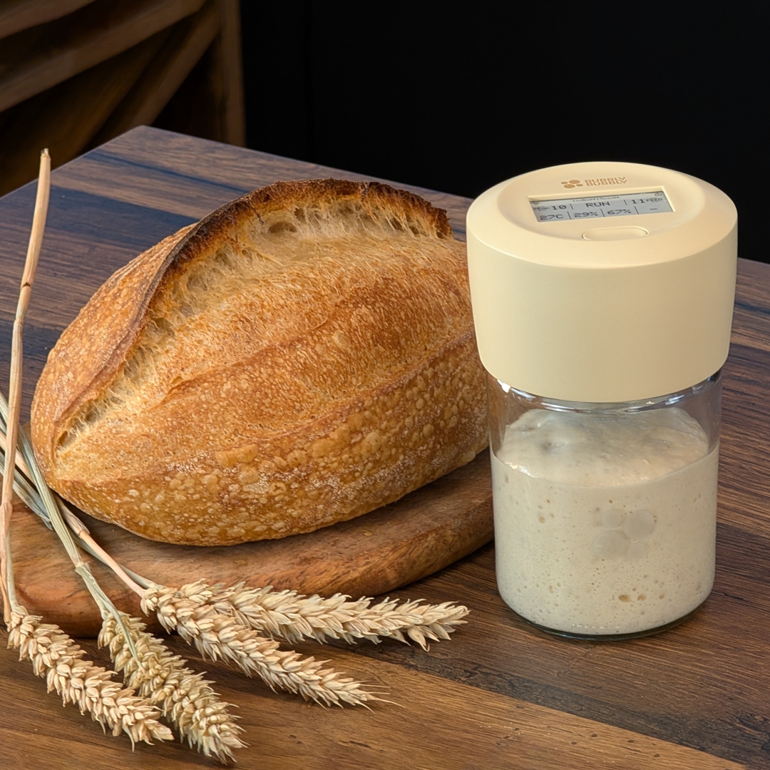 The Smart Fermentation Jar For Sourdough