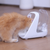 Stops Food Stealing at Mealtime