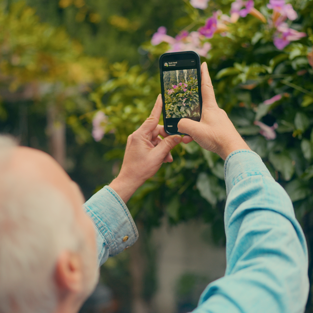 AI-Powered Plant Matching For Your Home