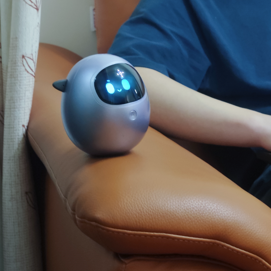 Gentle Companion For Quiet Moments