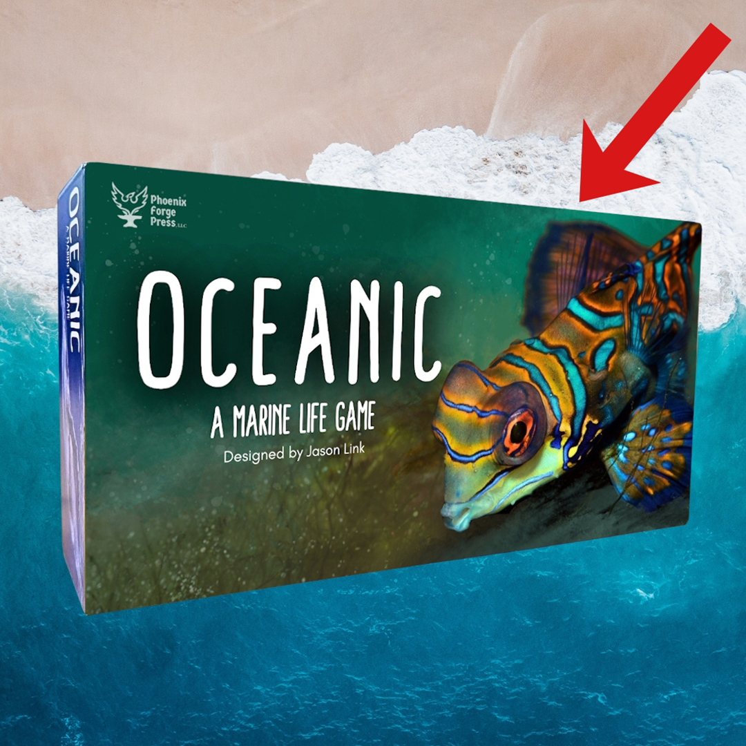 Build An Ocean That Everyone Has To Share