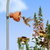 Smart Modular Habitat System For Nature's Pollinators