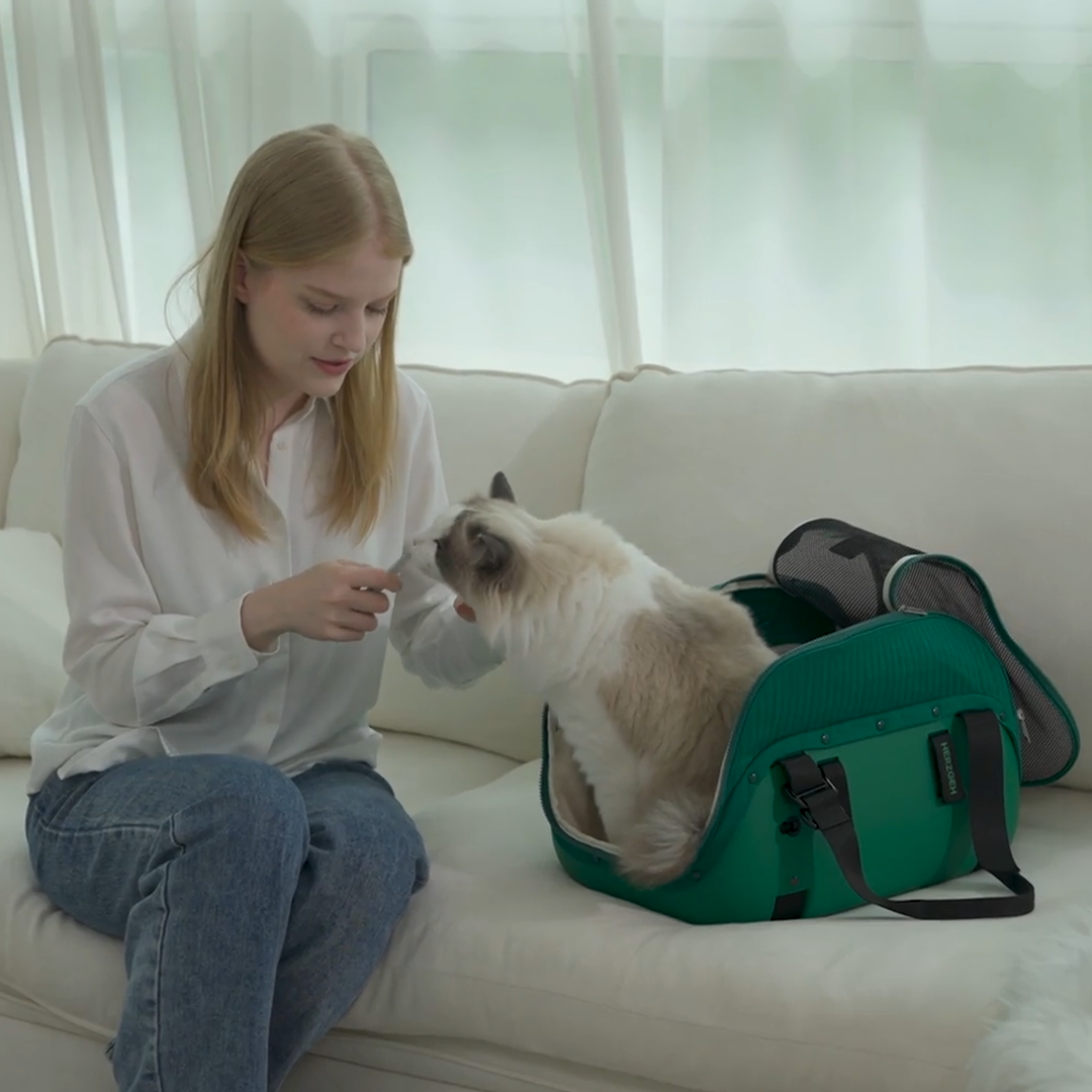 Hard-Shell Pet Carrier, No Droopy Floors