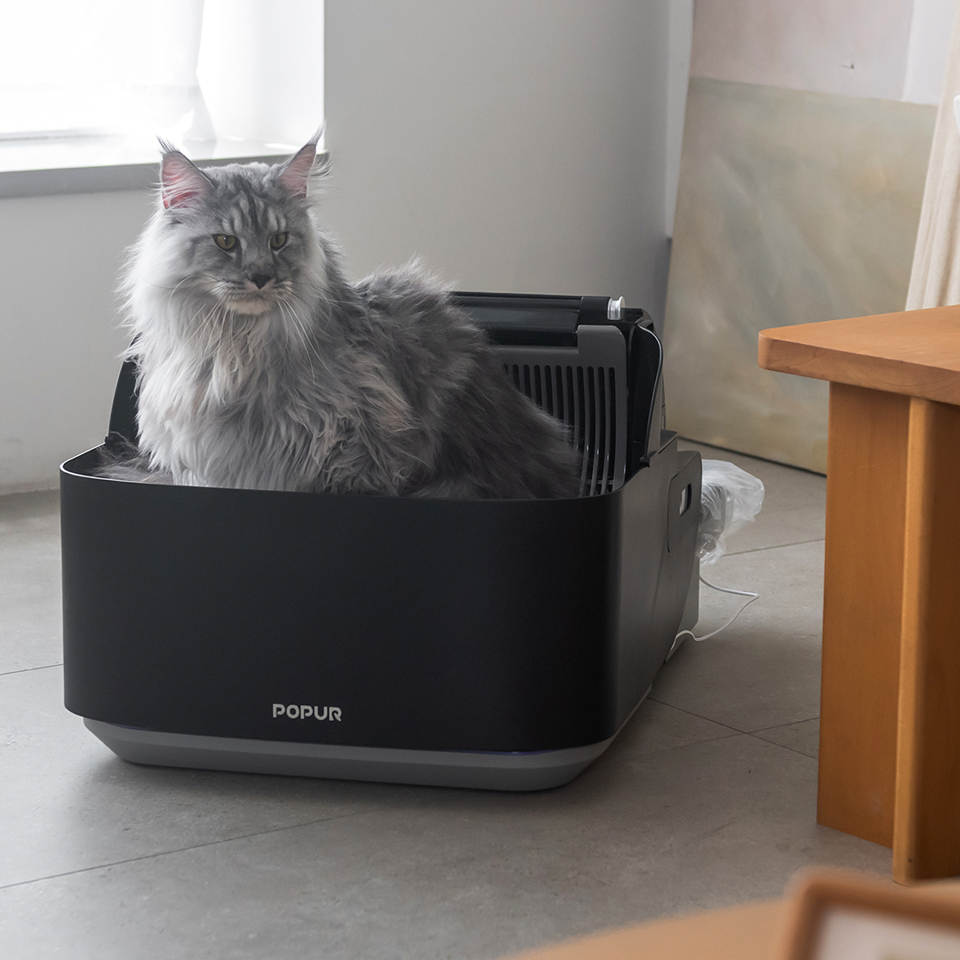 The Smartest Cat Litter Box Yet