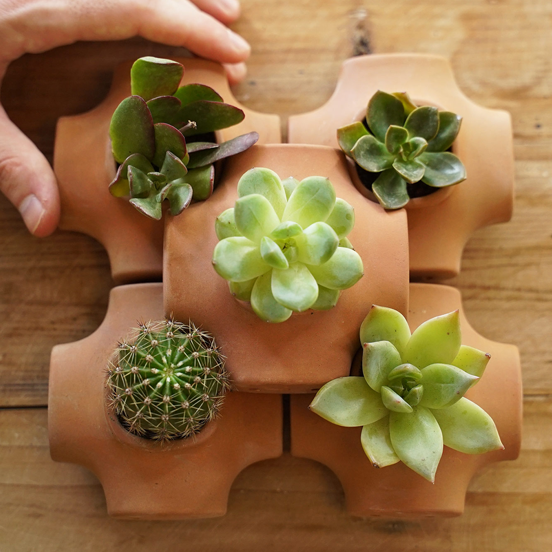Modular Terracotta Planter System