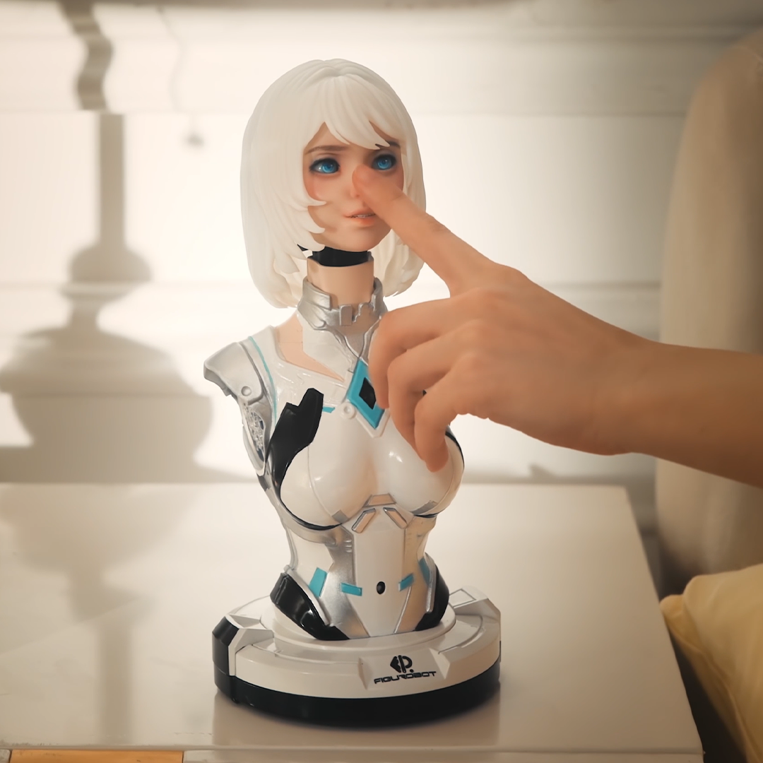 Make This Robot Truly Your Own