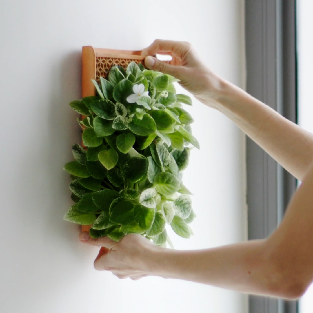 self watering plant holder Self-Watering Planter Tile Inspired By Nature