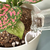 Innovative Plant Pot With Removable Drawer