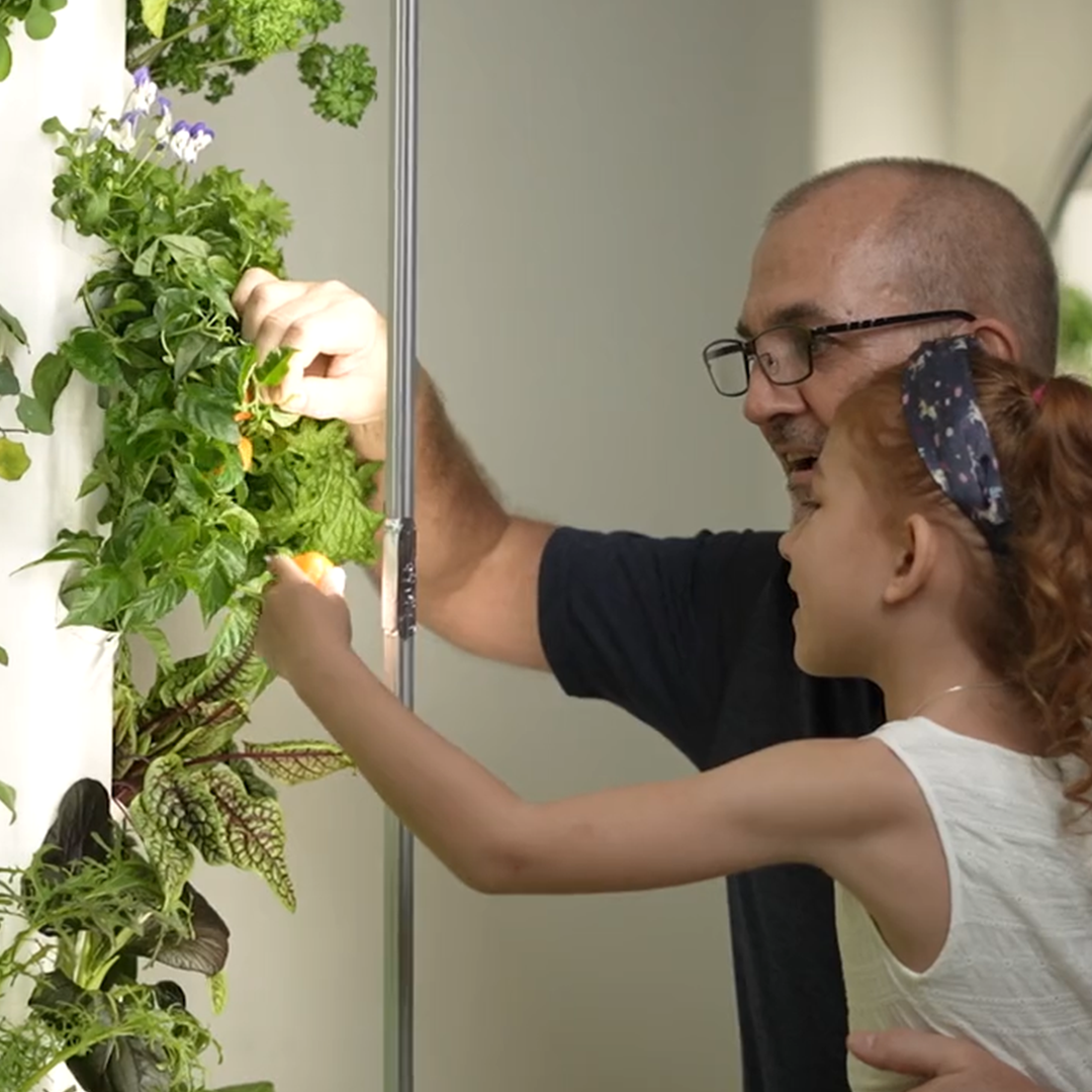 High-Yield Hydroponic System That Adapts To Your Growing Needs