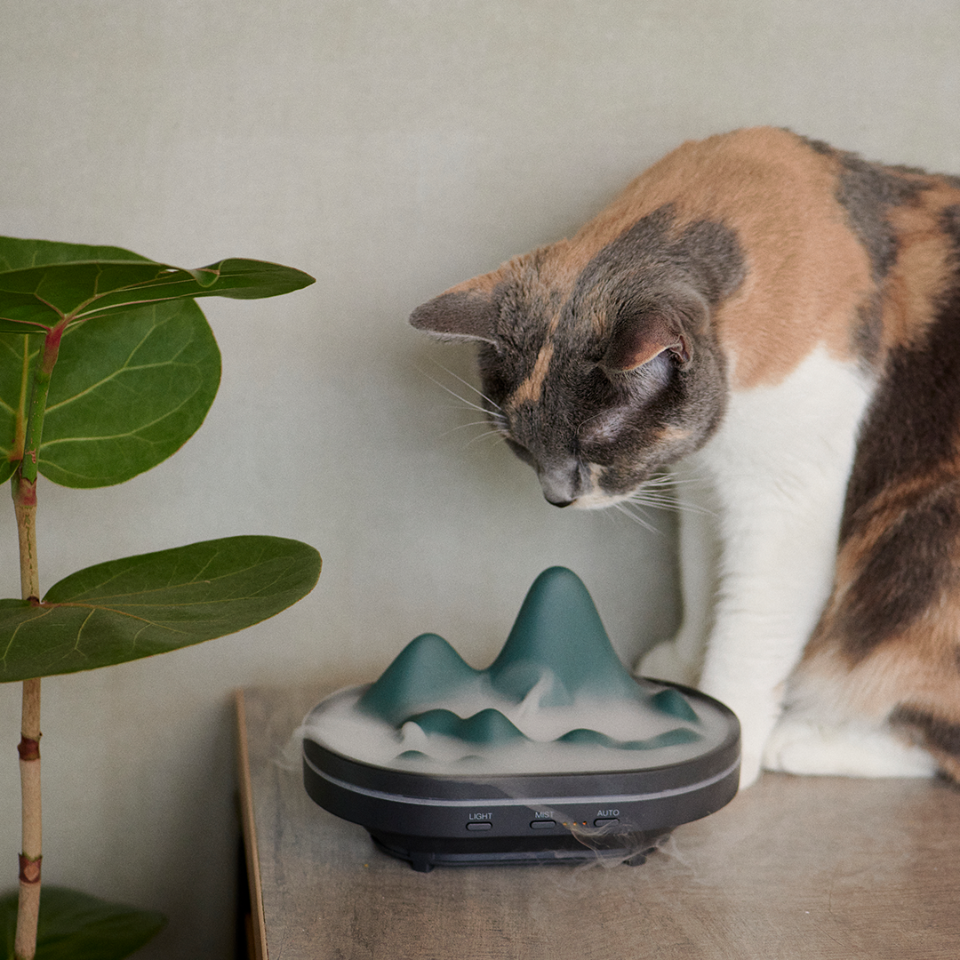 Atmospheric Mountain Mist Diffuser With Humidity Control