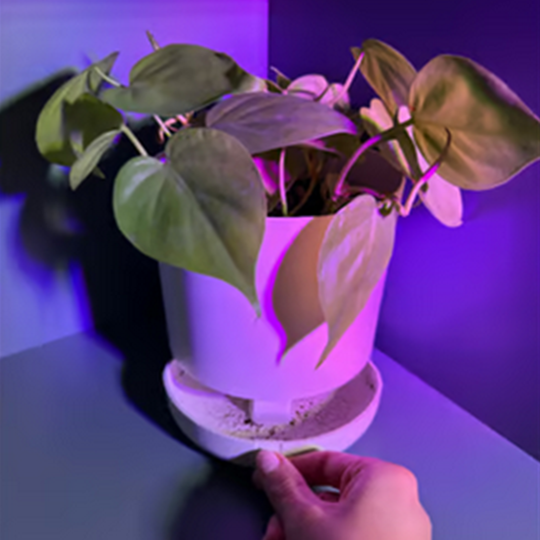 plant pot rotator Innovative Plant Pot With Removable Drawer