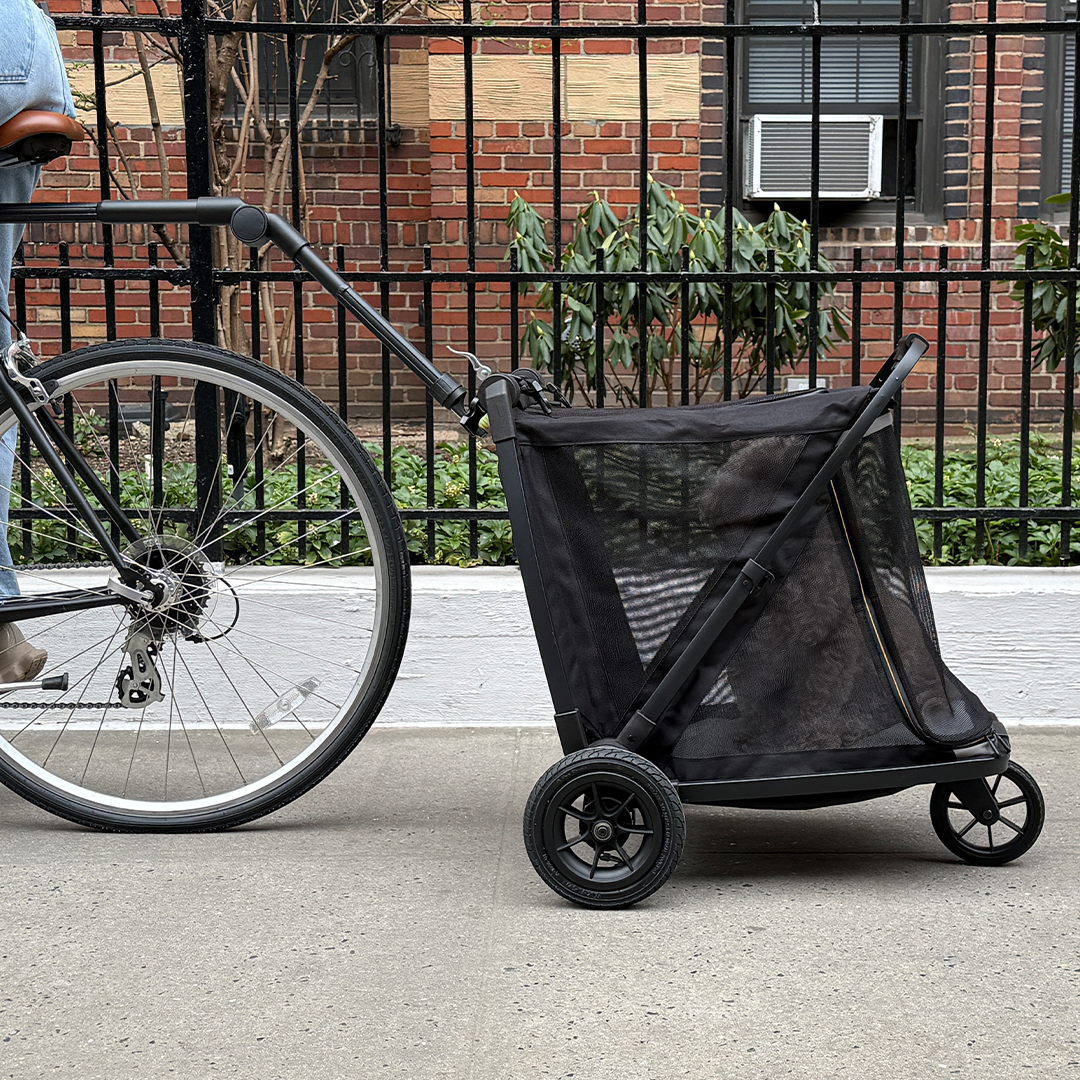 A Backpack, Stroller, & Bike Trailer For Your Dog