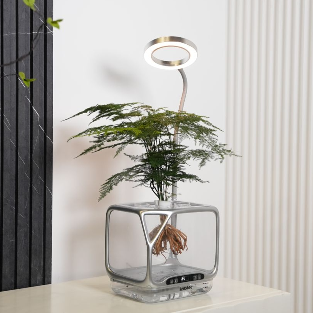 A Living Ecosystem On Your Desk