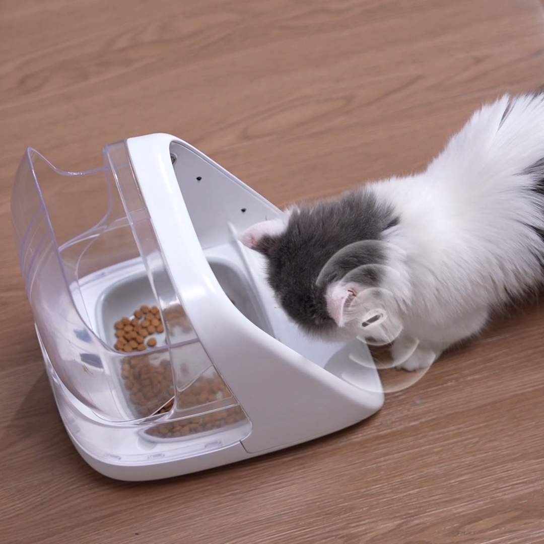 Stops Food Stealing at Mealtime