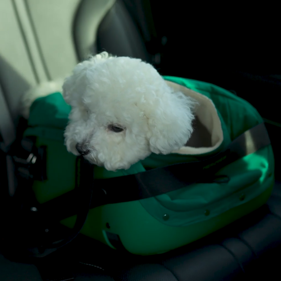 Hard-Shell Pet Carrier, No Droopy Floors