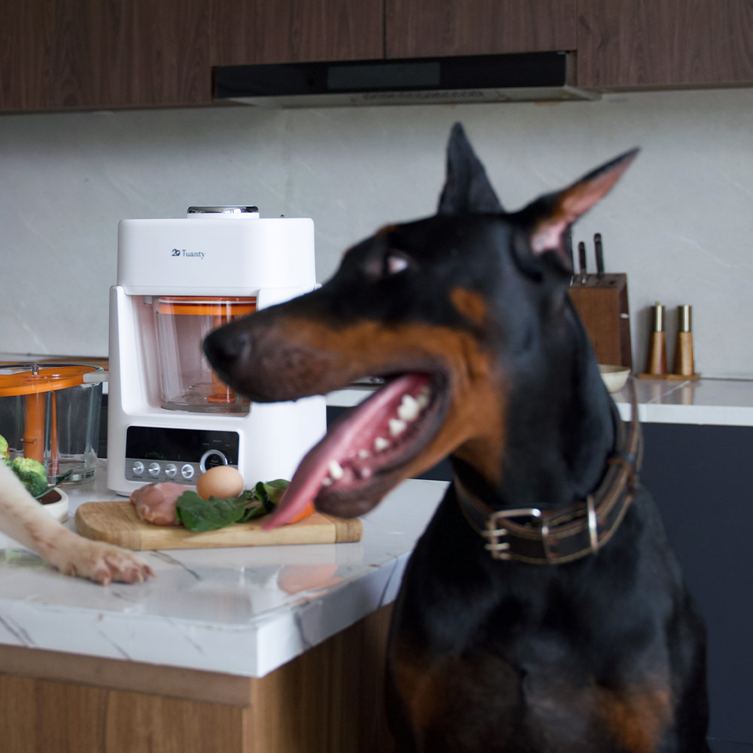 Healthy Feeding Without The Hassle