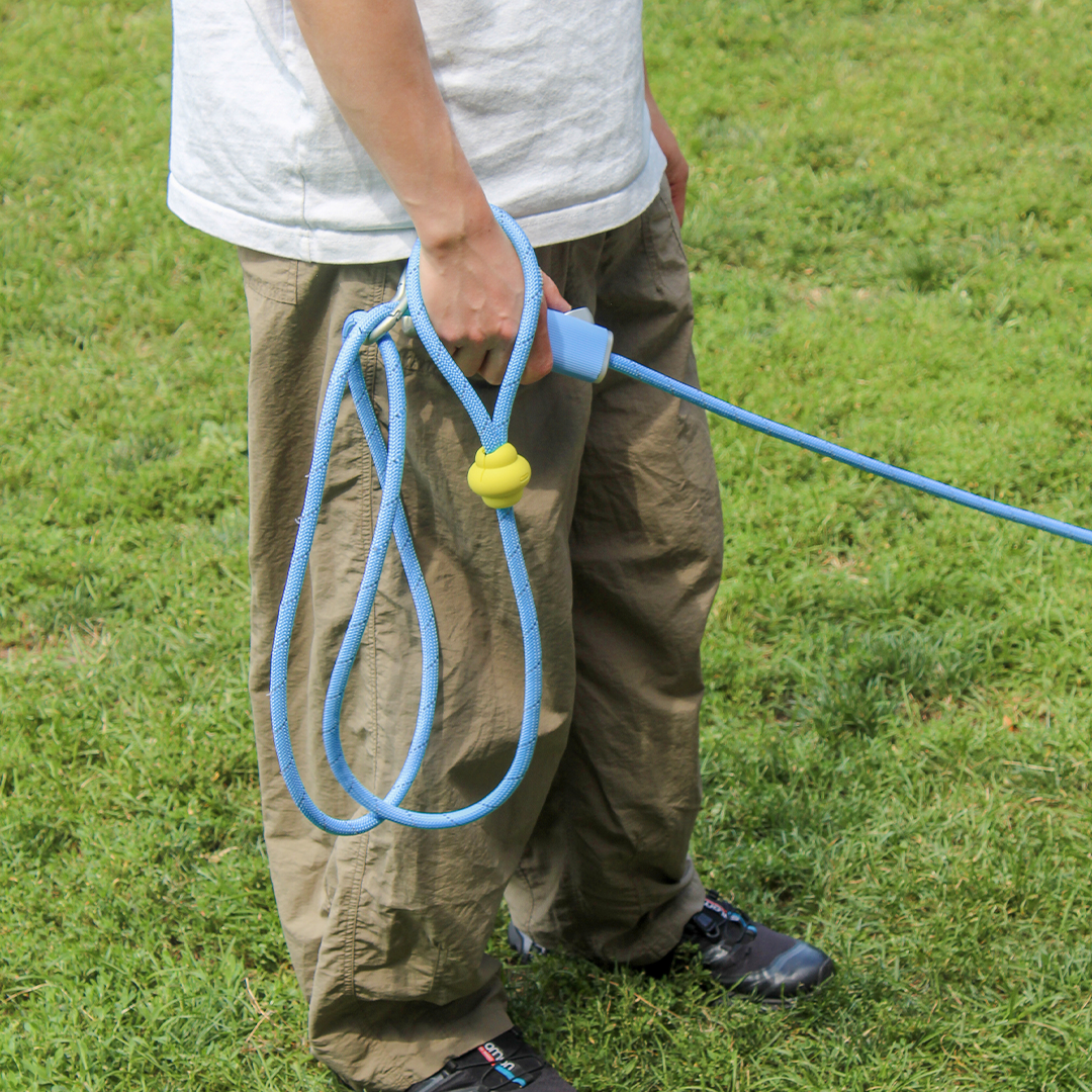 The Dog Leash Reinvented