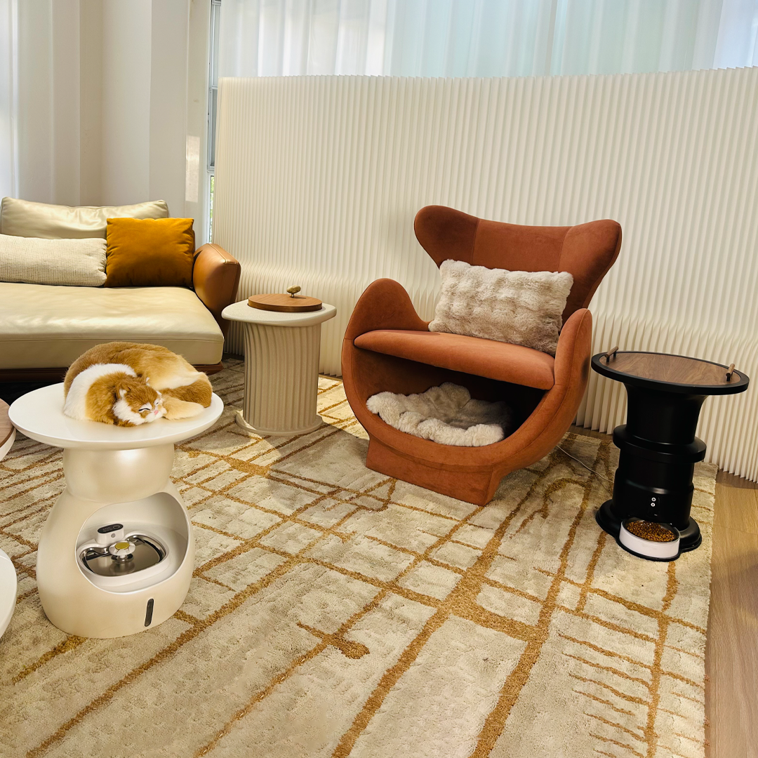 Furniture For Pets And People