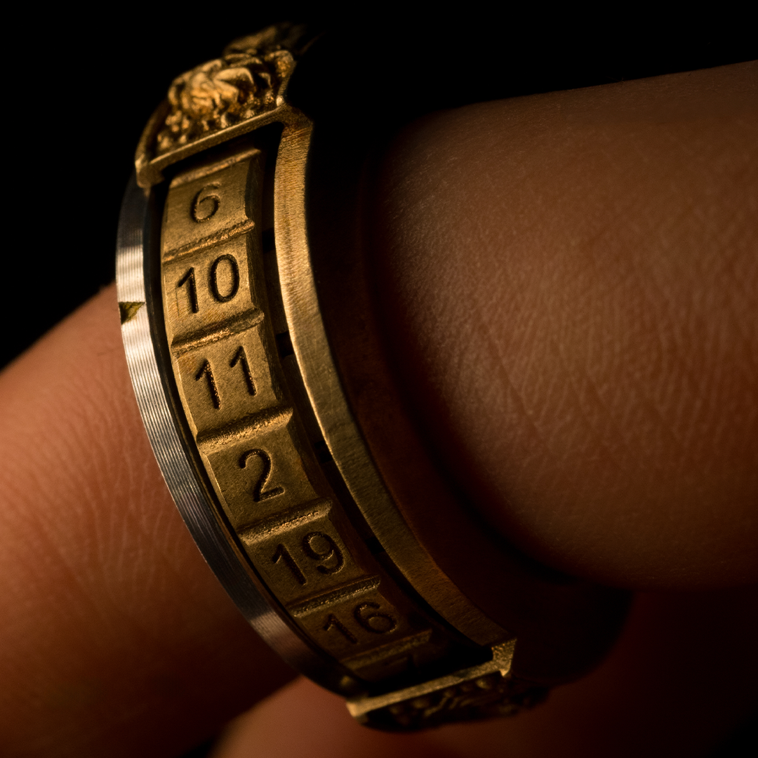 D20 Ring With Precision Bearings