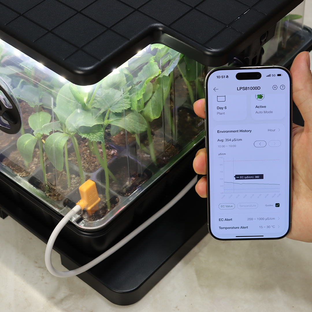 Start Strong, Grow Smarter