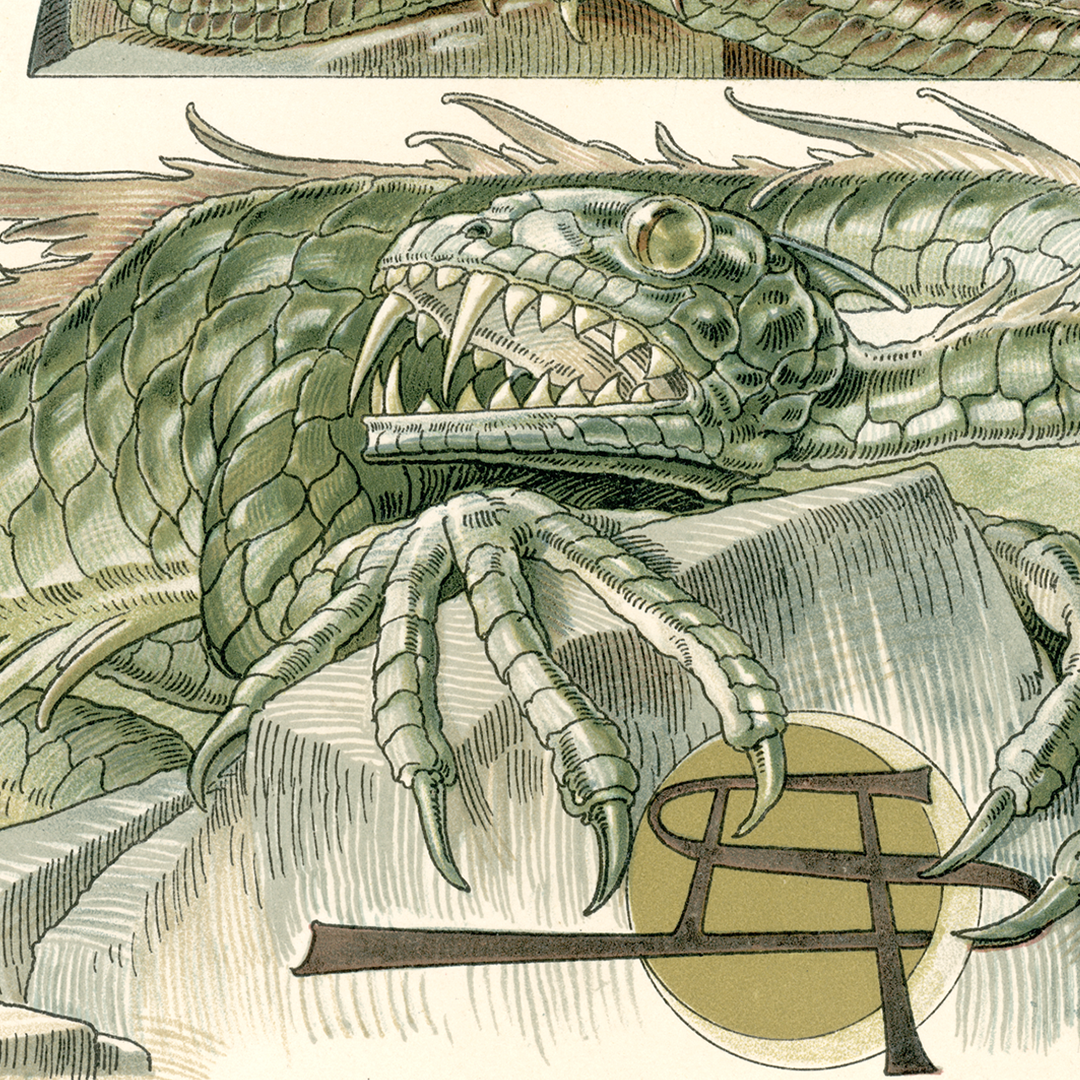 The Art Nouveau Dragons Of Anton Seder