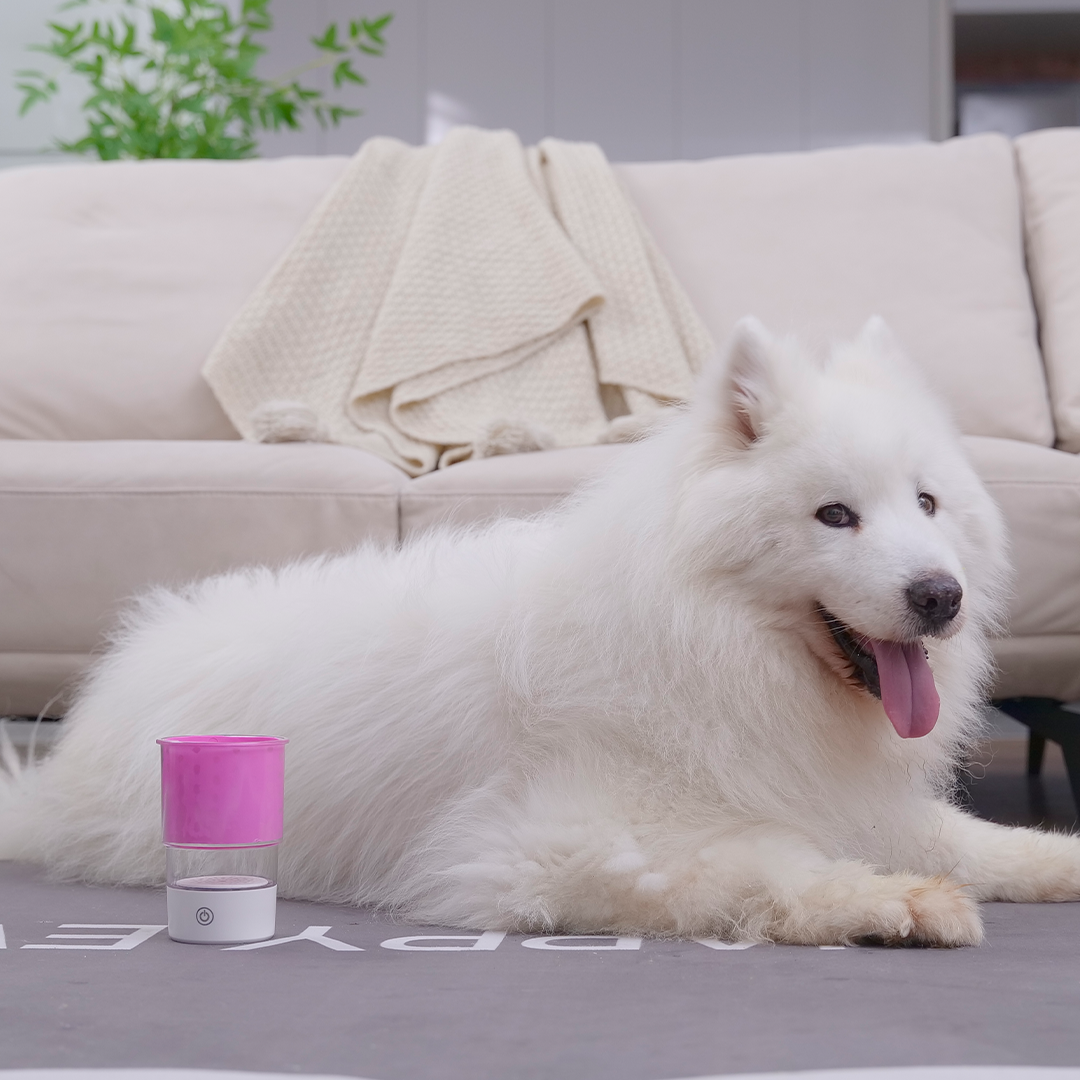 Doggy Paw Cleaner For Muddy Walk Days