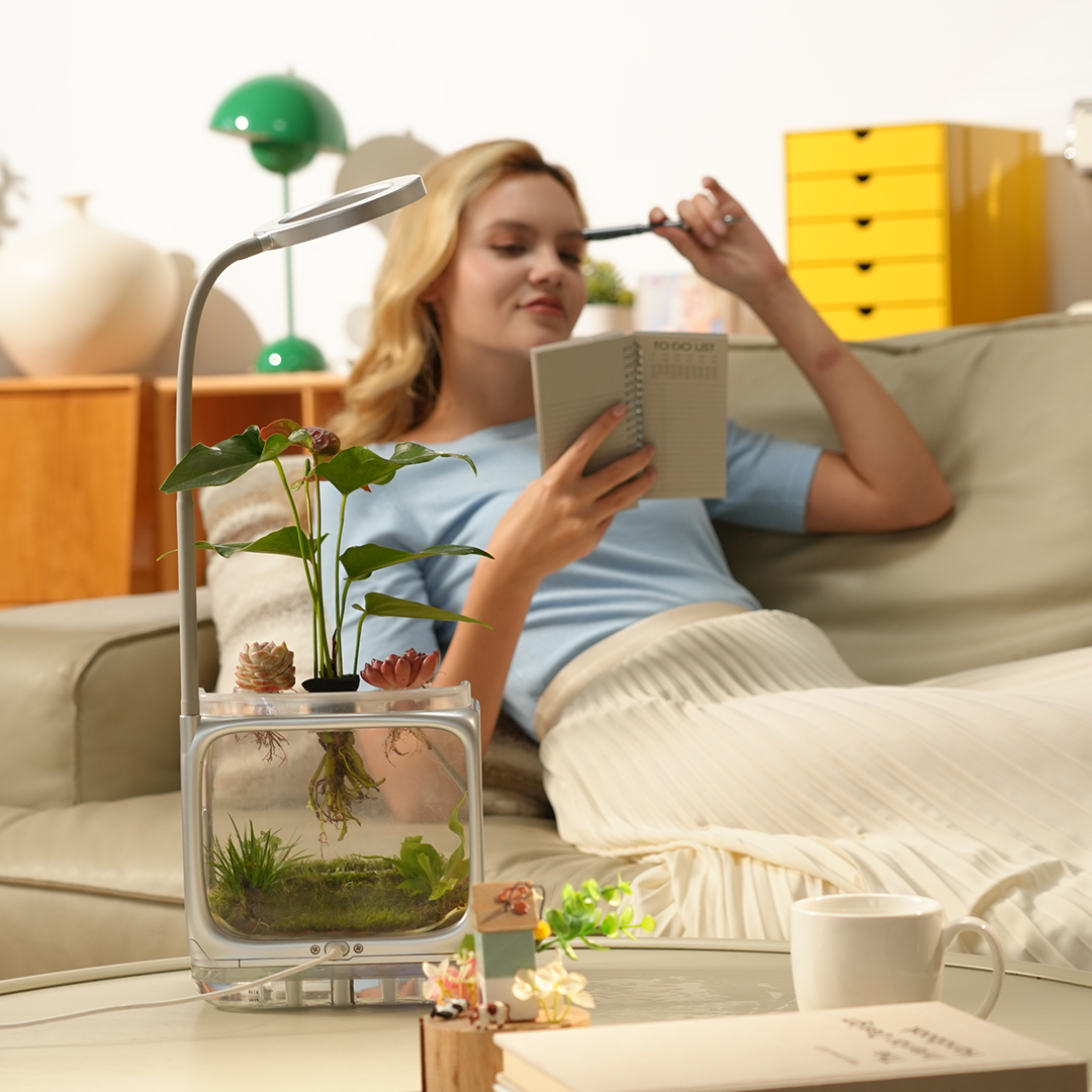 World's First Scenic Aeroponic Ecosystem