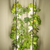 High-Yield Hydroponic System That Adapts To Your Growing Needs