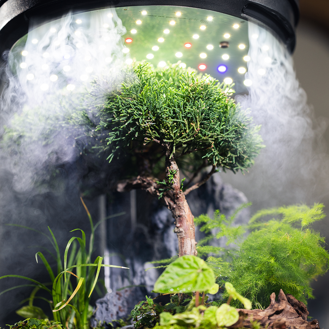Bring Nature to Your Desk, Effortlessly