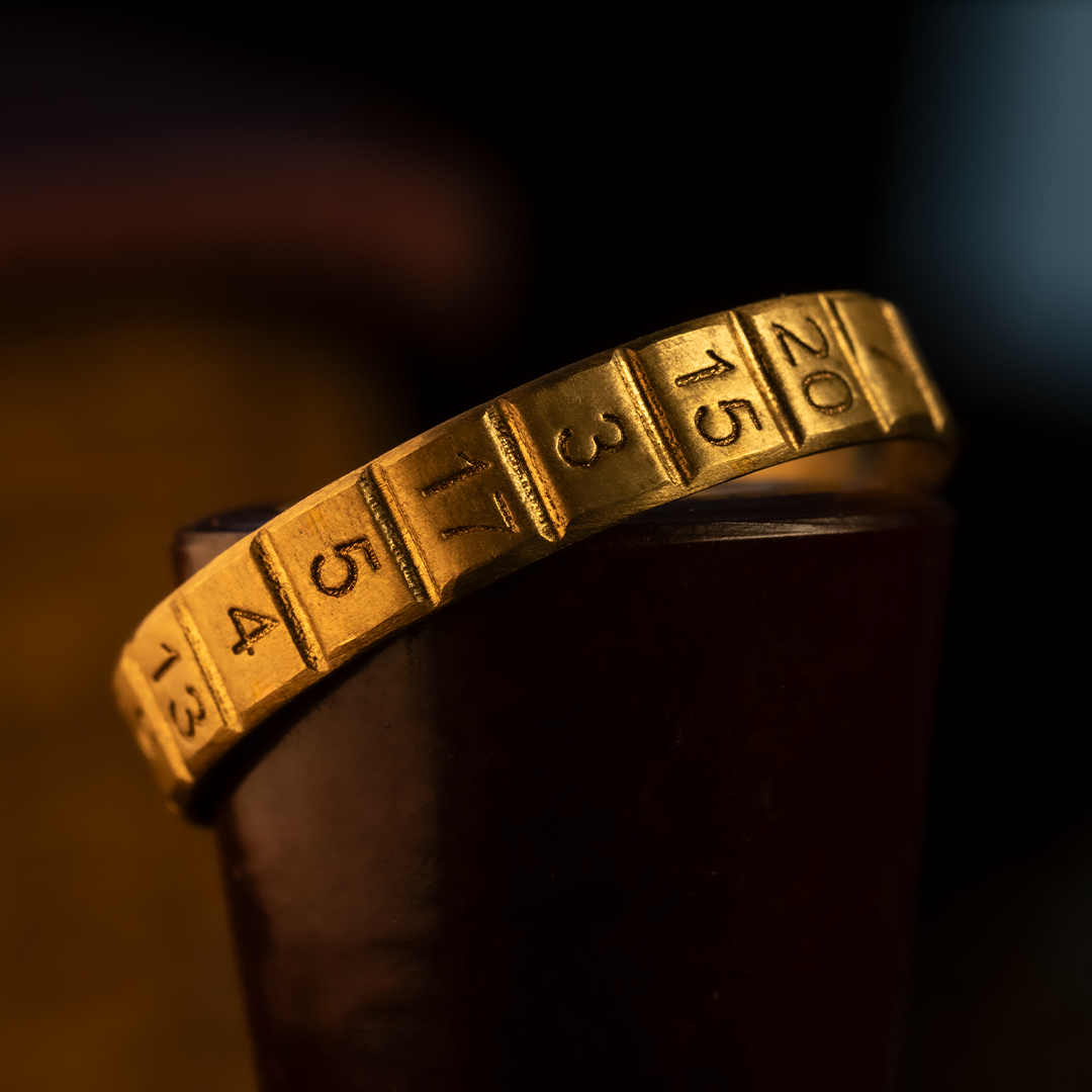 D20 Ring With Precision Bearings