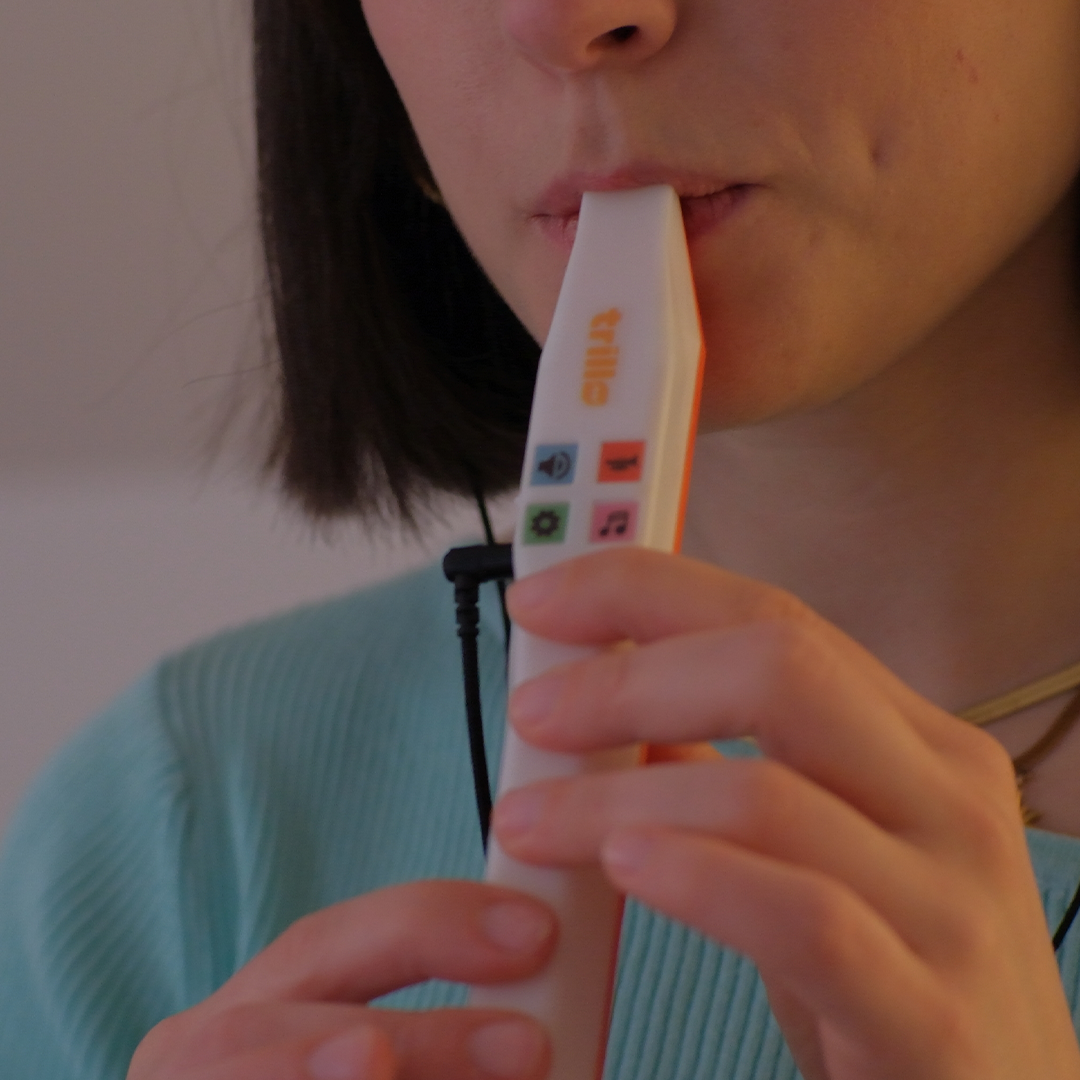 Tiny Digital Flute With Onboard Sounds
