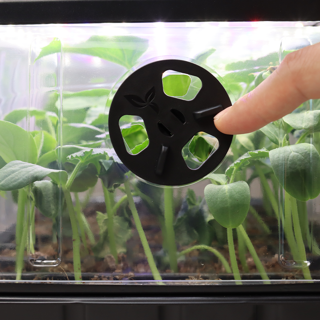 Start Strong, Grow Smarter